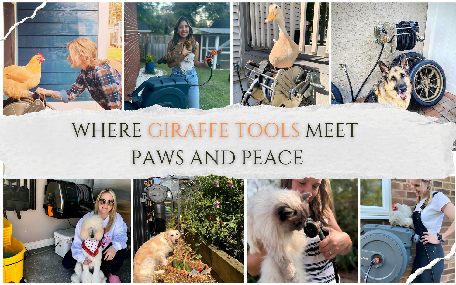 Smart Hose Reel and More from Giraffe Tools for Everyday Home Use