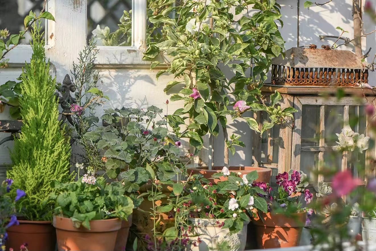 Averagepersongardening - Giraffe Tools