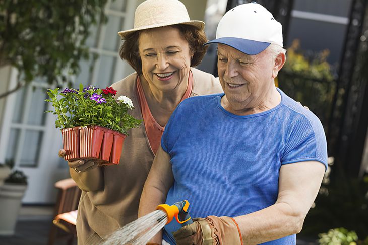 Findthisbest - Giraffe Tools