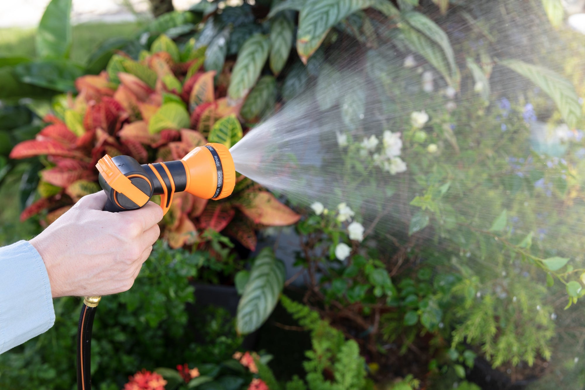 Best Garden Tools to Revive Your Yard This Spring