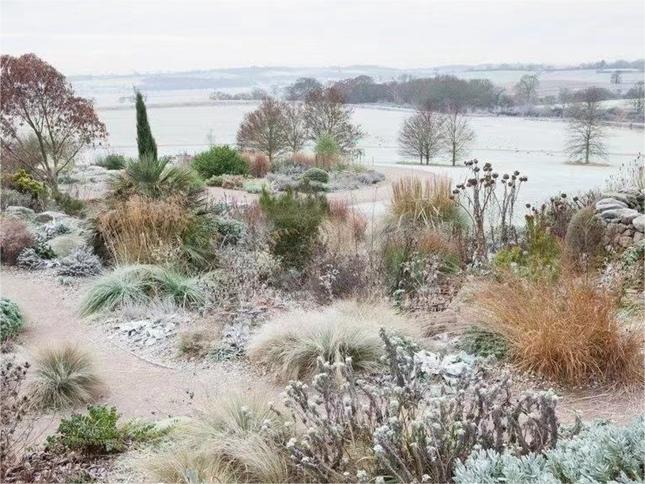 How to prepare your garden for spring? - Giraffe Tools