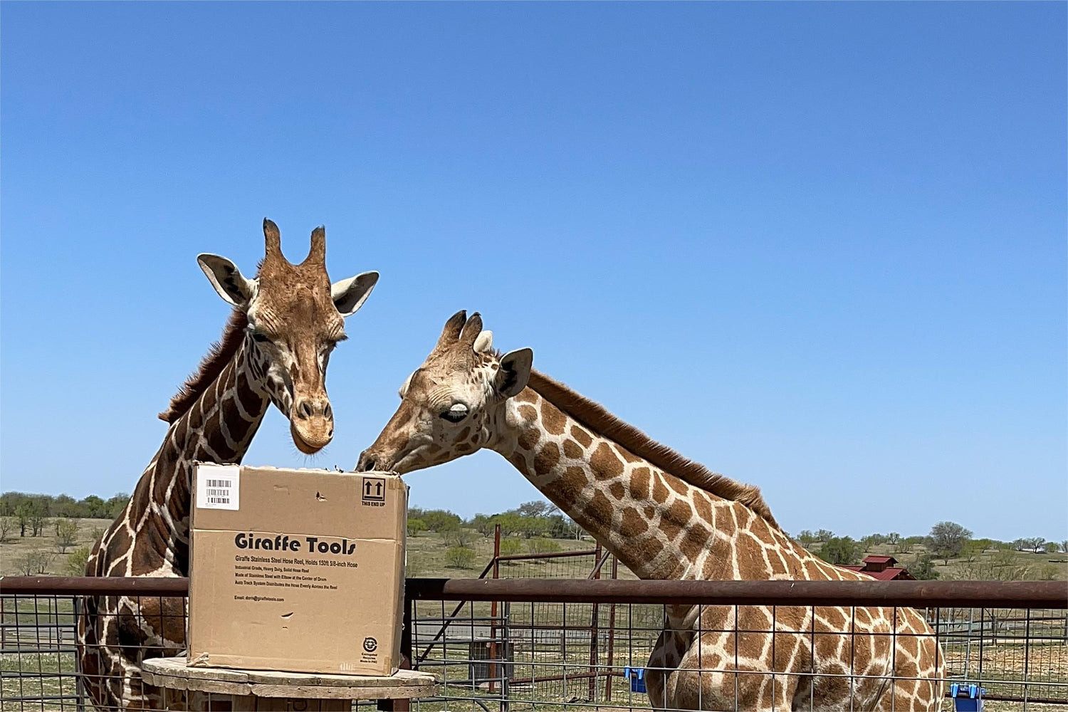 Tubefilter - Giraffe Tools