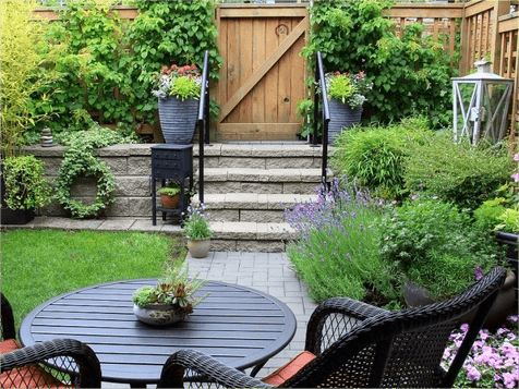 Ways to protect your garden in winter