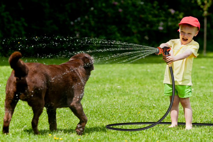 Giraffe Tools Garden Hose