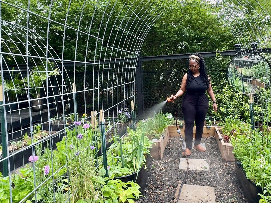 How to Take Care of Plants in Summer