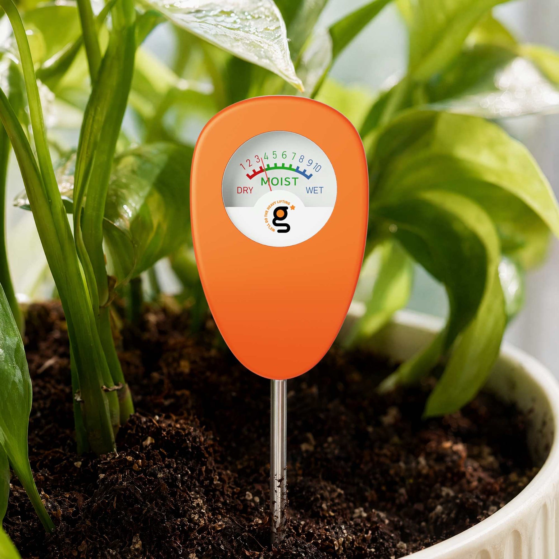 Soil moisture meter inserted into plant soil to check water levels