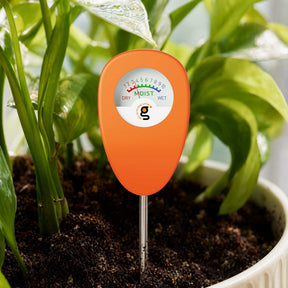 Soil moisture meter inserted into plant soil to check water levels
