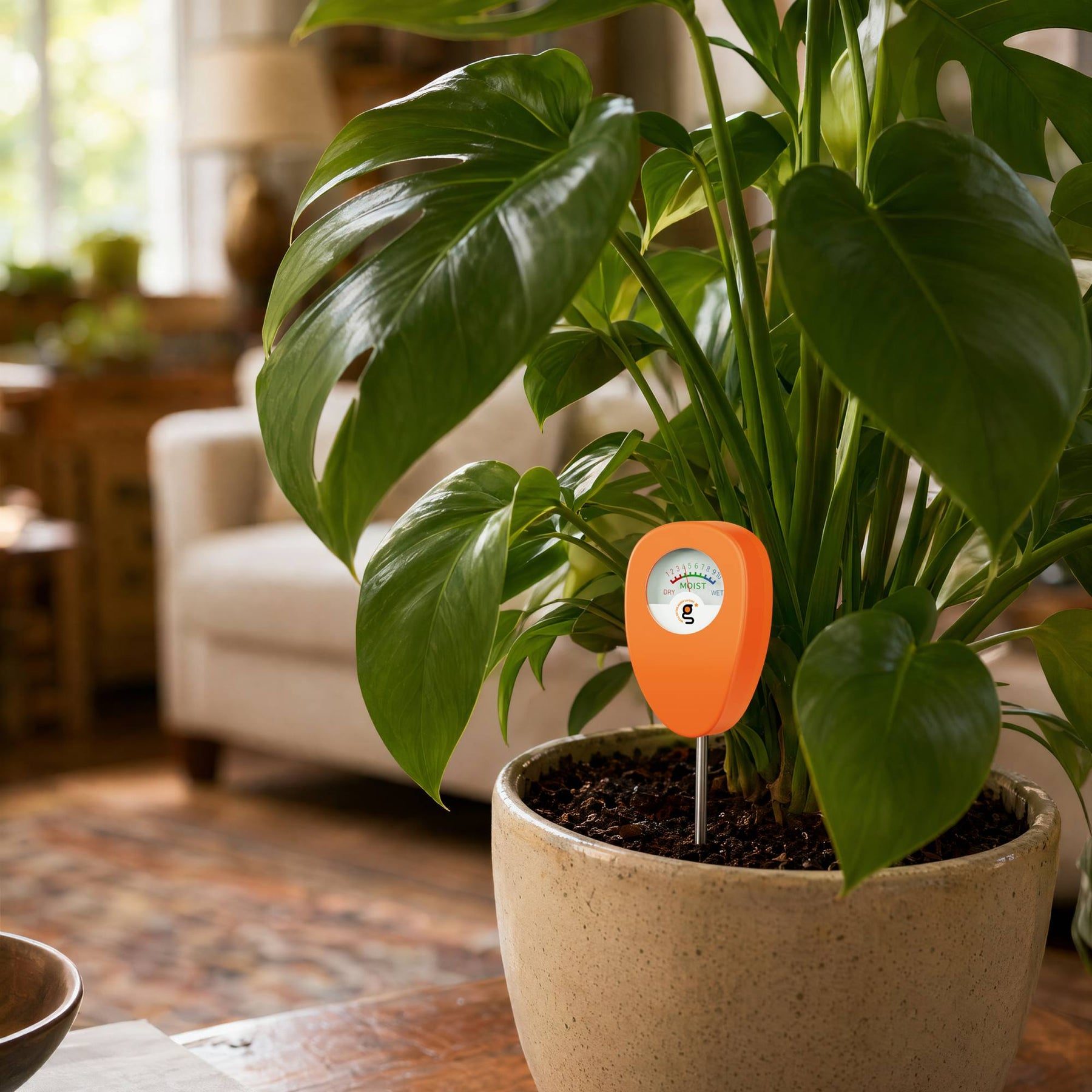 Soil moisture meter inserted into plant soil to check water levels