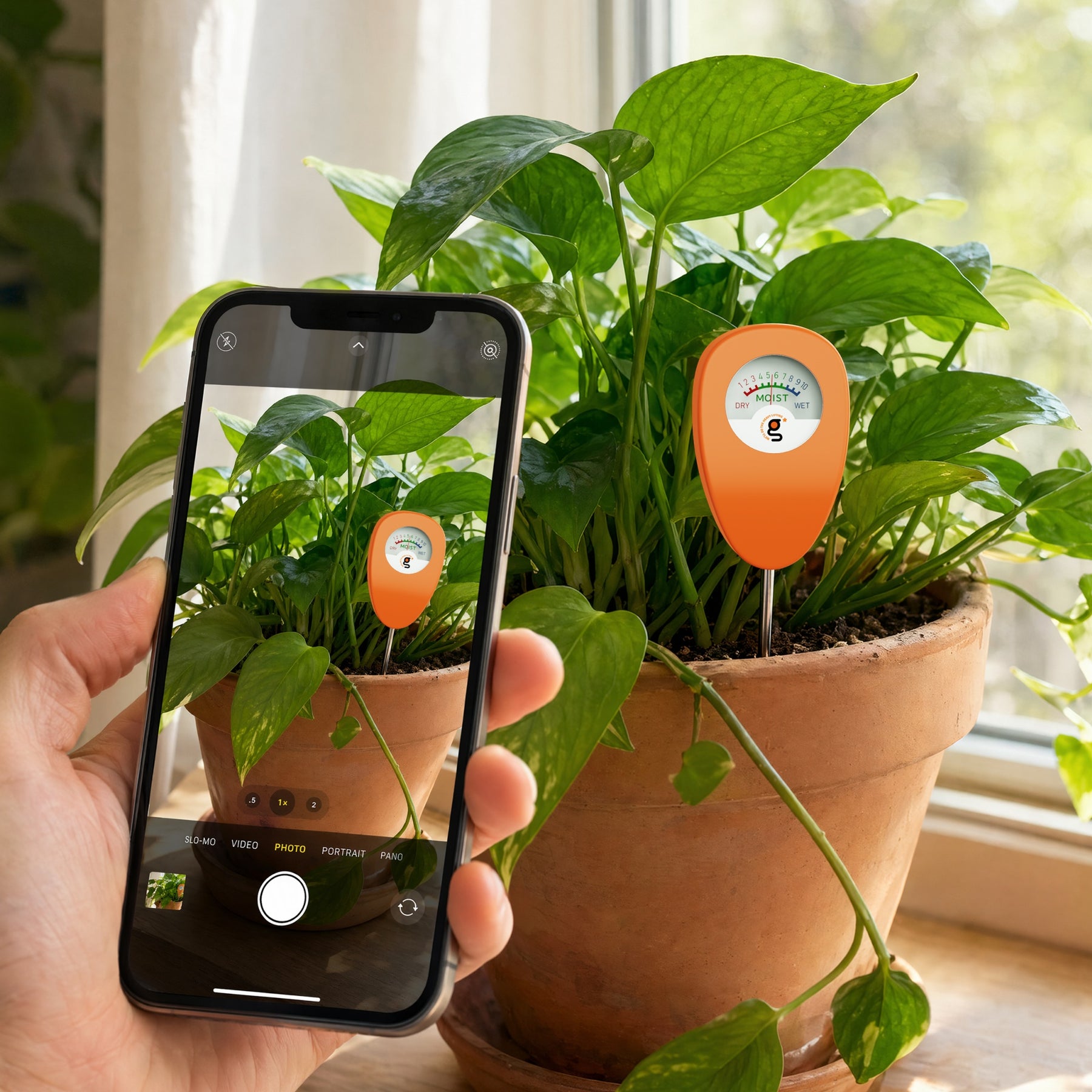 Soil moisture meter inserted into plant soil to check water levels